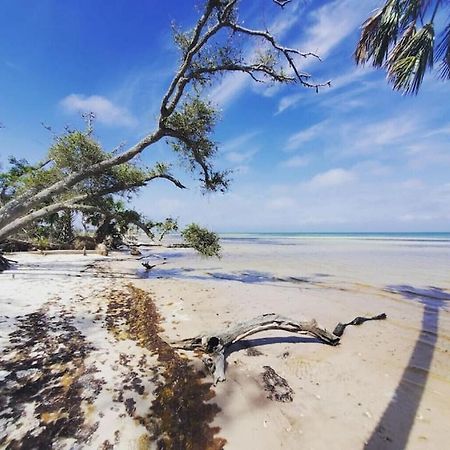 Tortuga Tillys Cape San Blas Exteriér fotografie
