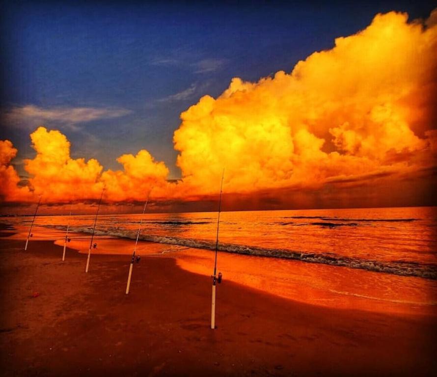 Tortuga Tillys Cape San Blas Exteriér fotografie