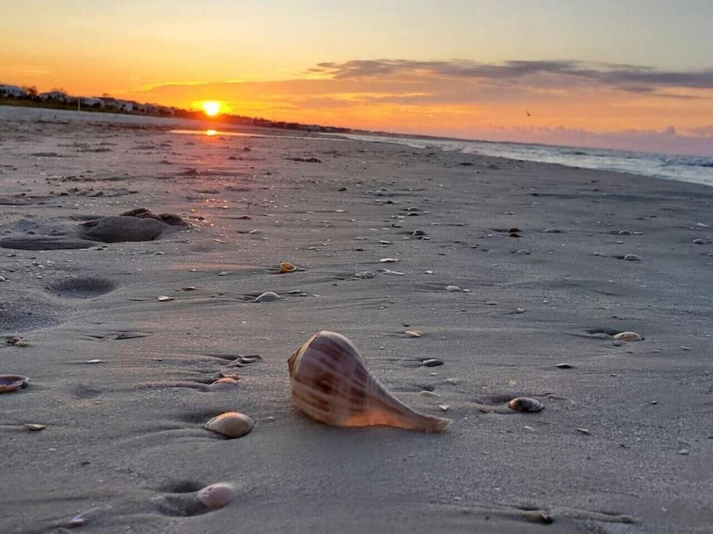 Tortuga Tillys Cape San Blas Exteriér fotografie