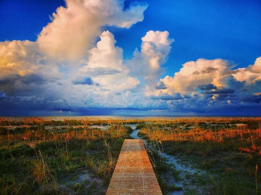 Tortuga Tillys Cape San Blas Exteriér fotografie