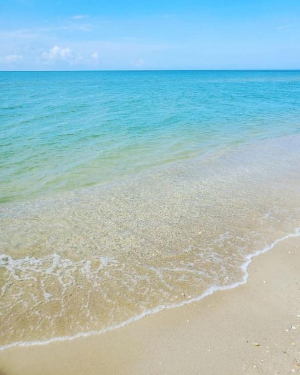 Tortuga Tillys Cape San Blas Exteriér fotografie