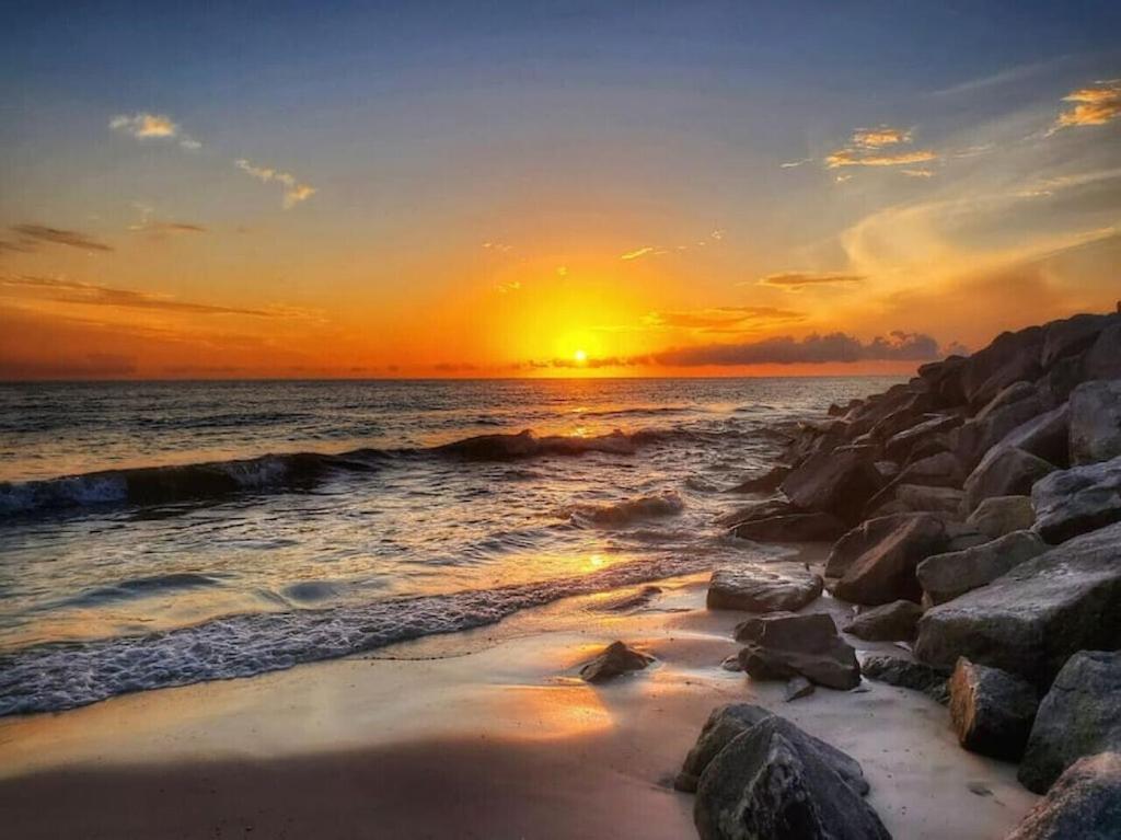 Tortuga Tillys Cape San Blas Exteriér fotografie