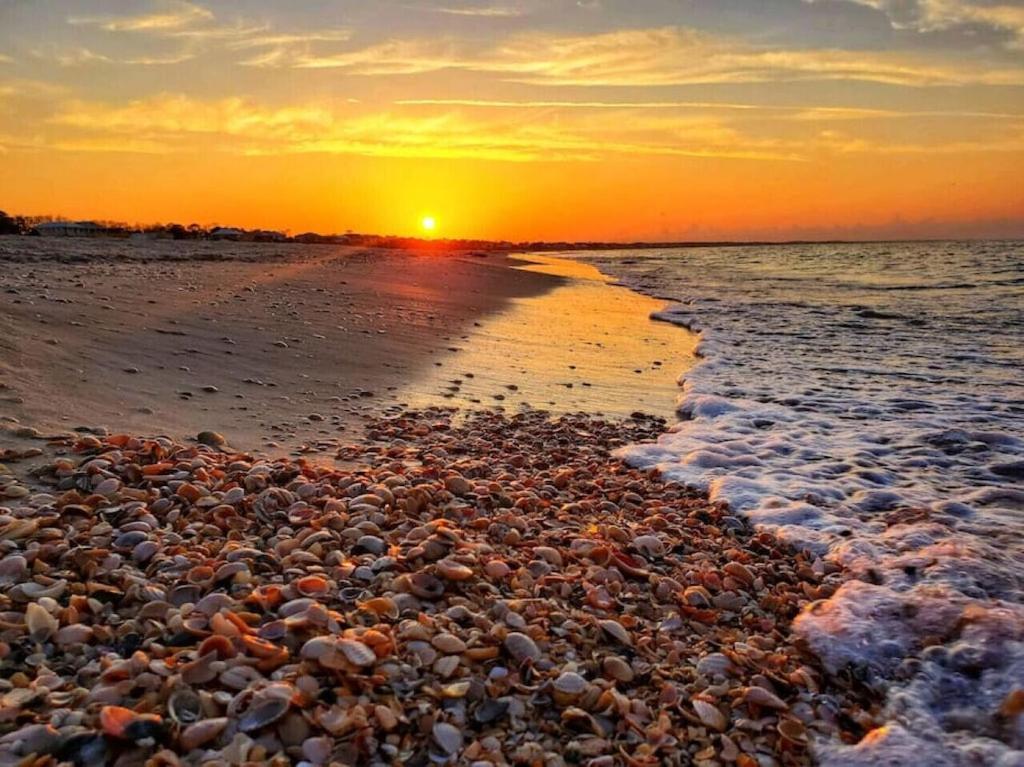 Tortuga Tillys Cape San Blas Exteriér fotografie