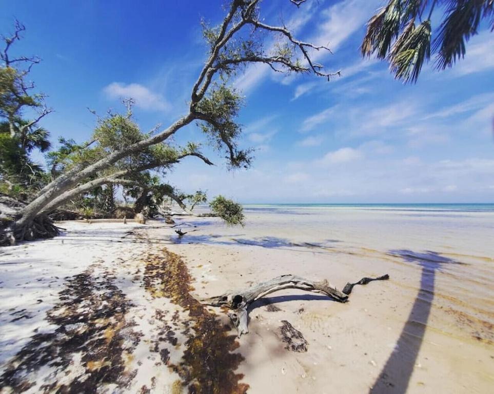 Tortuga Tillys Cape San Blas Exteriér fotografie